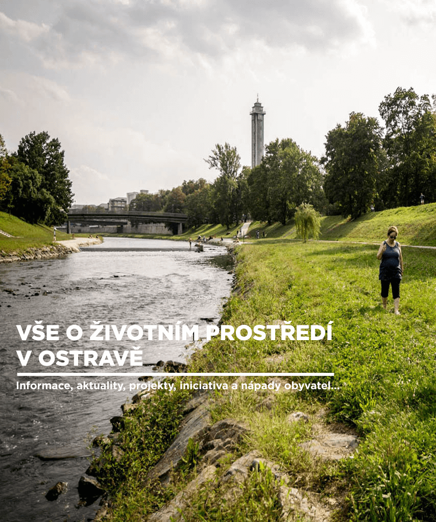 trvalka-prostredi-LG-foto